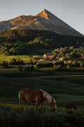 Crested Butte