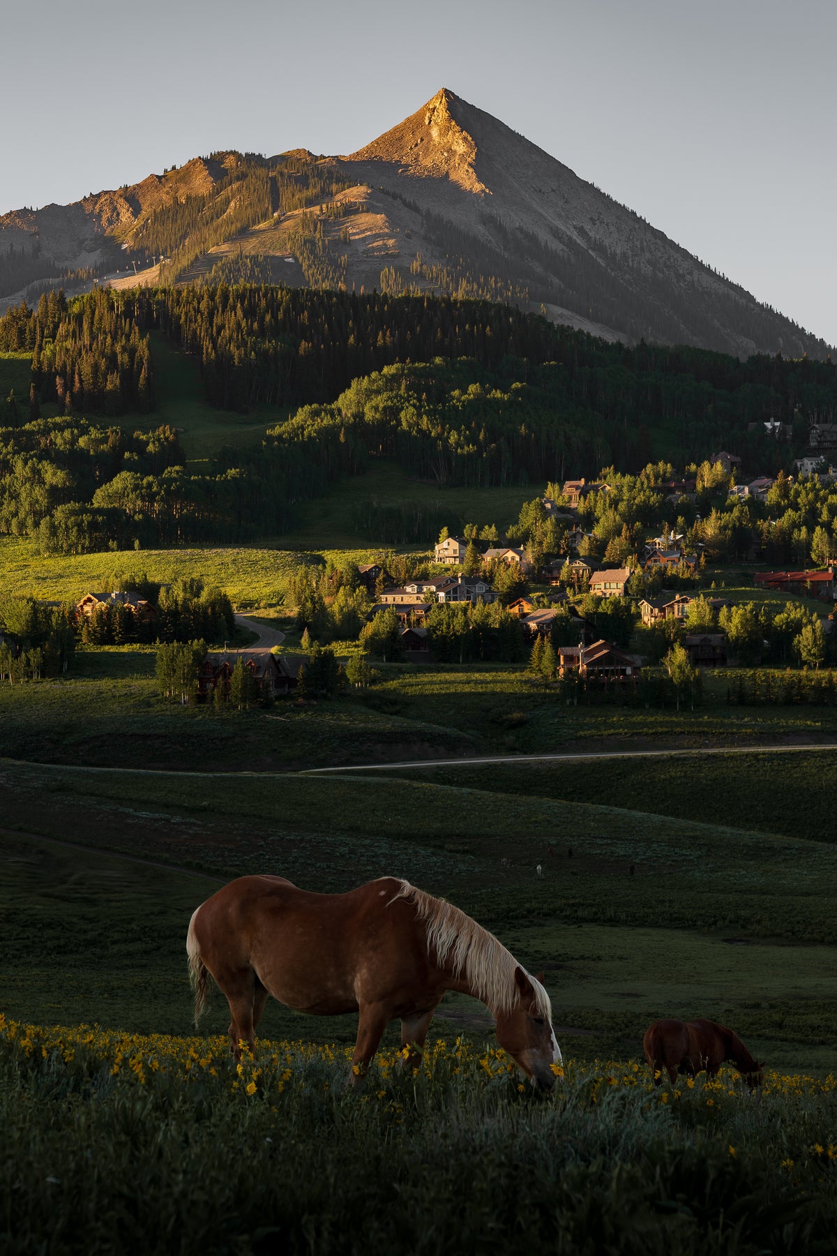 Crested Butte