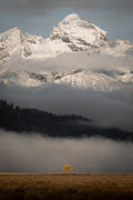 Fall in Grand Teton