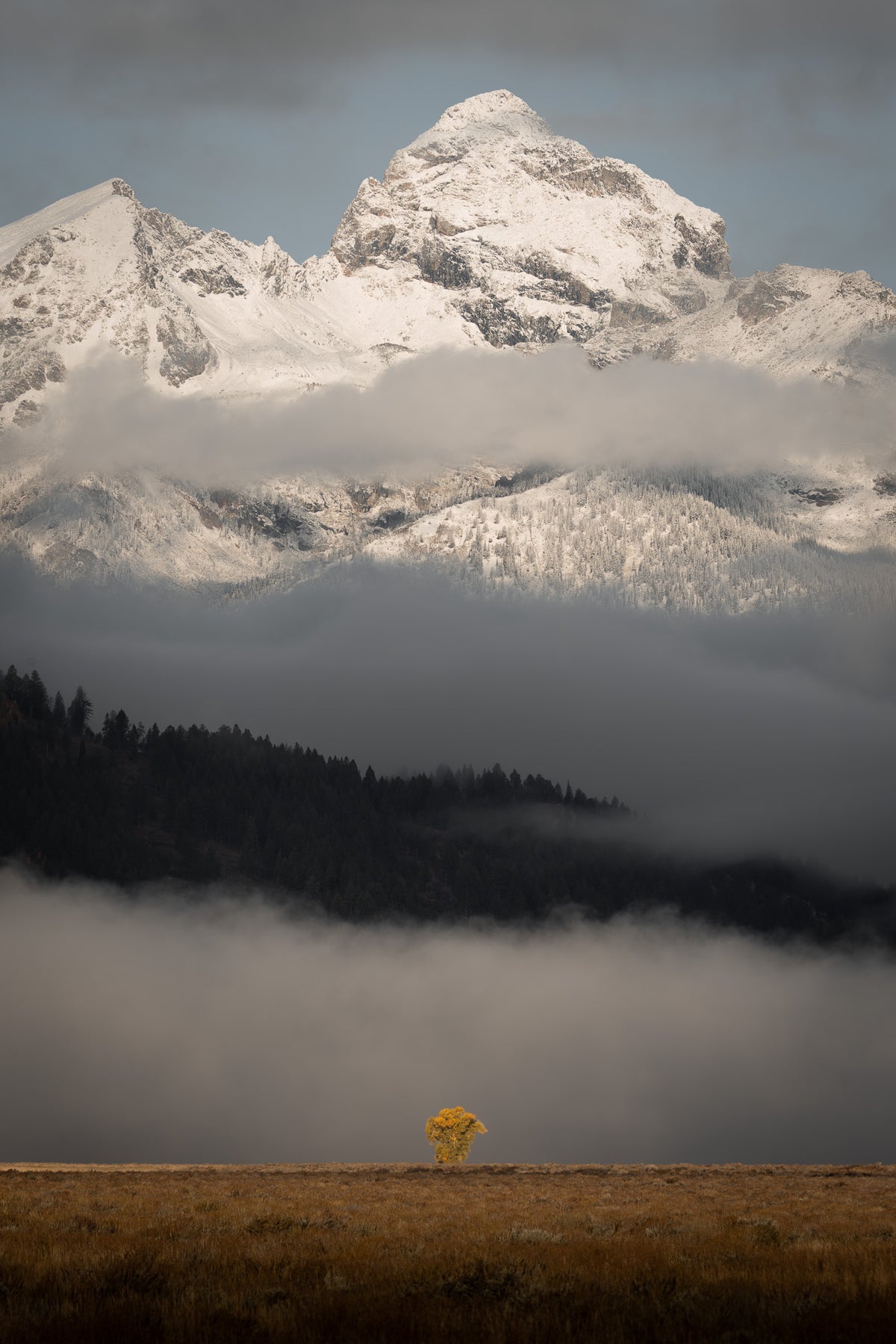 Fall in Grand Teton
