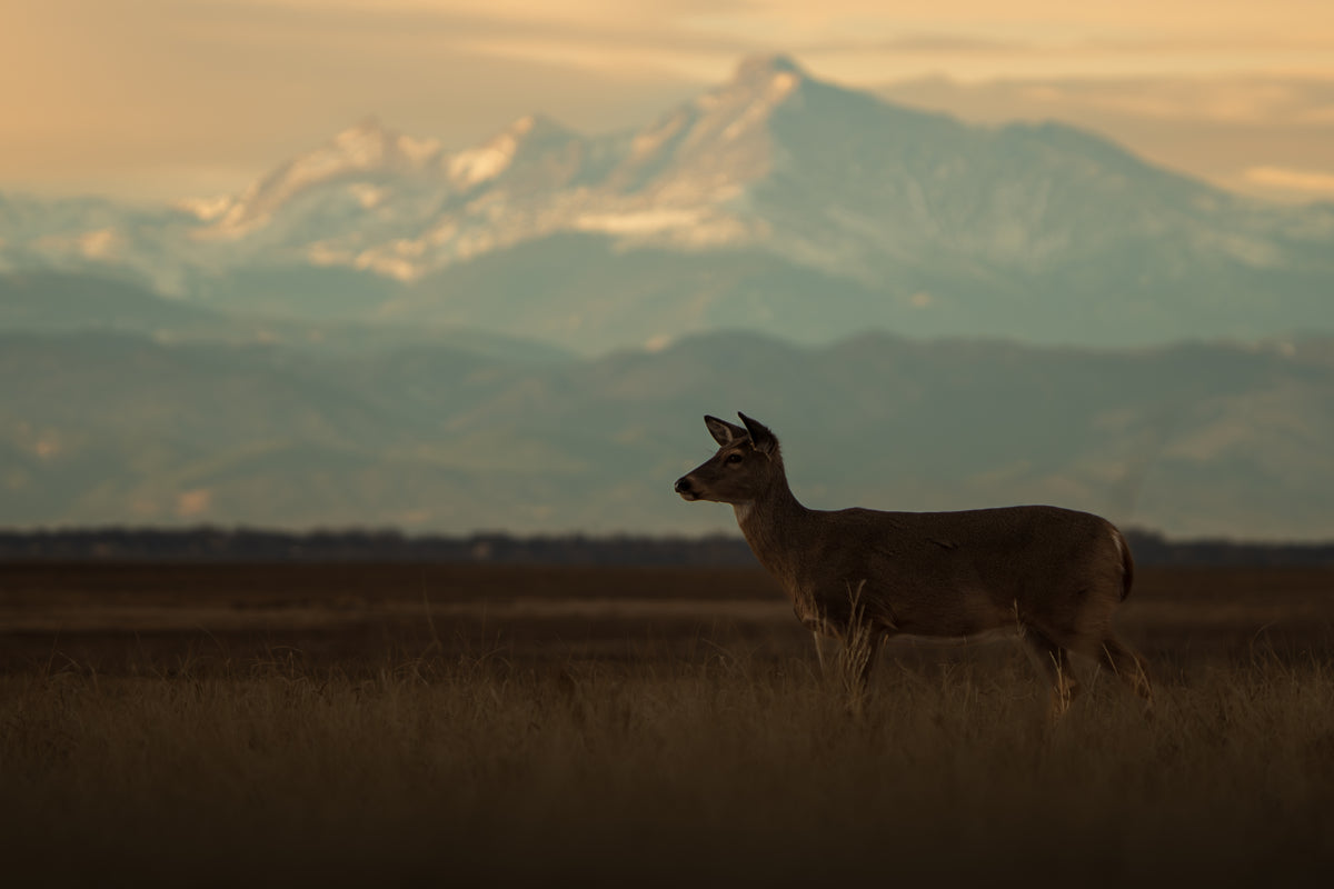Front Range