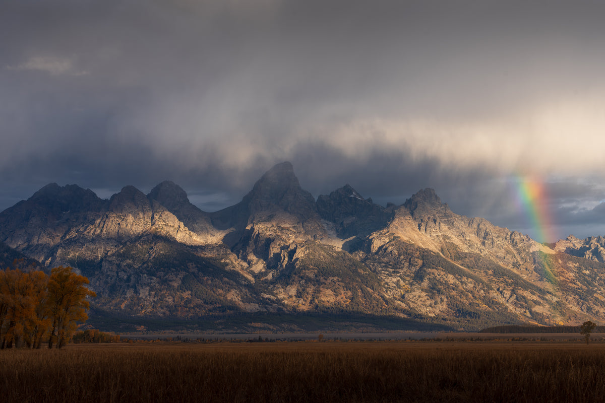 Moody Tetons