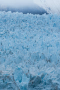 Glacier Bay