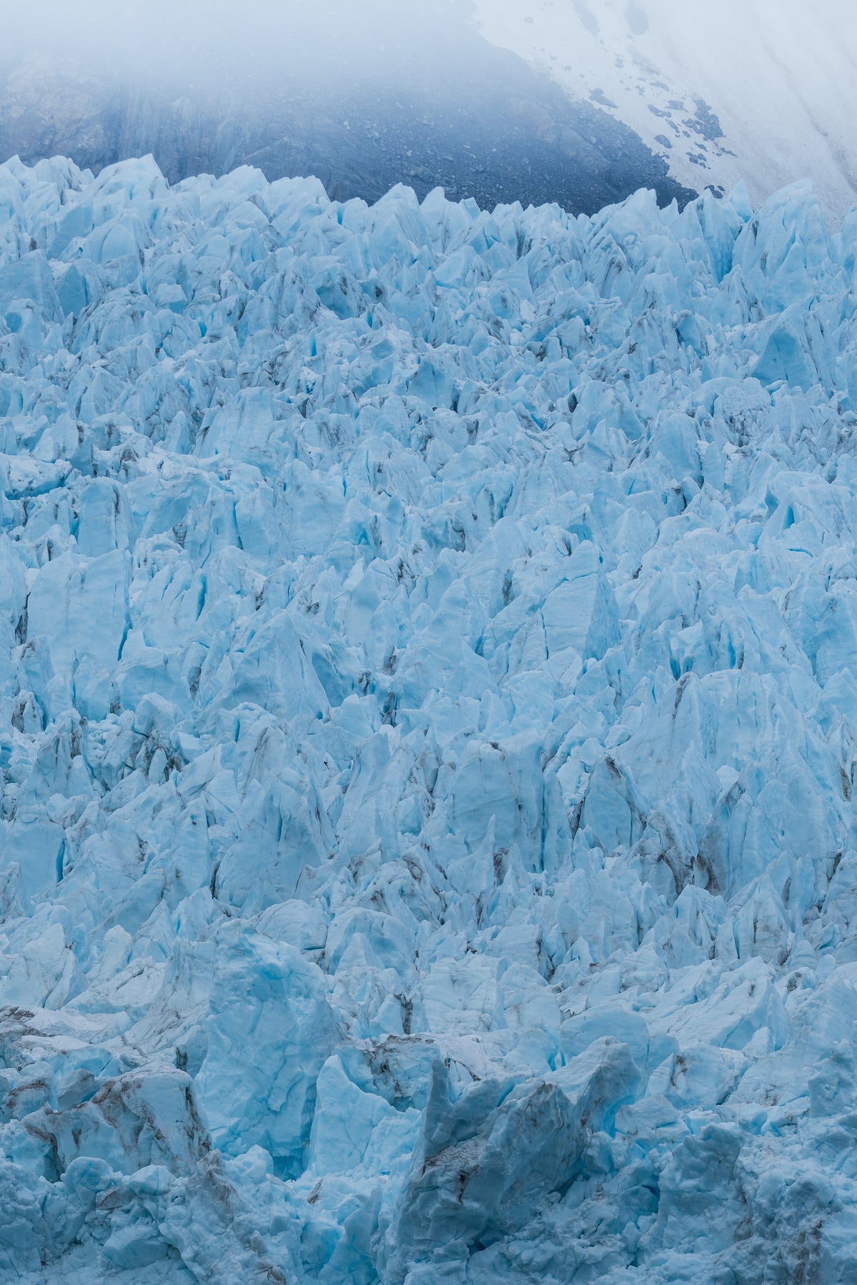 Glacier Bay