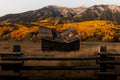 Abandoned Colorado Cabin