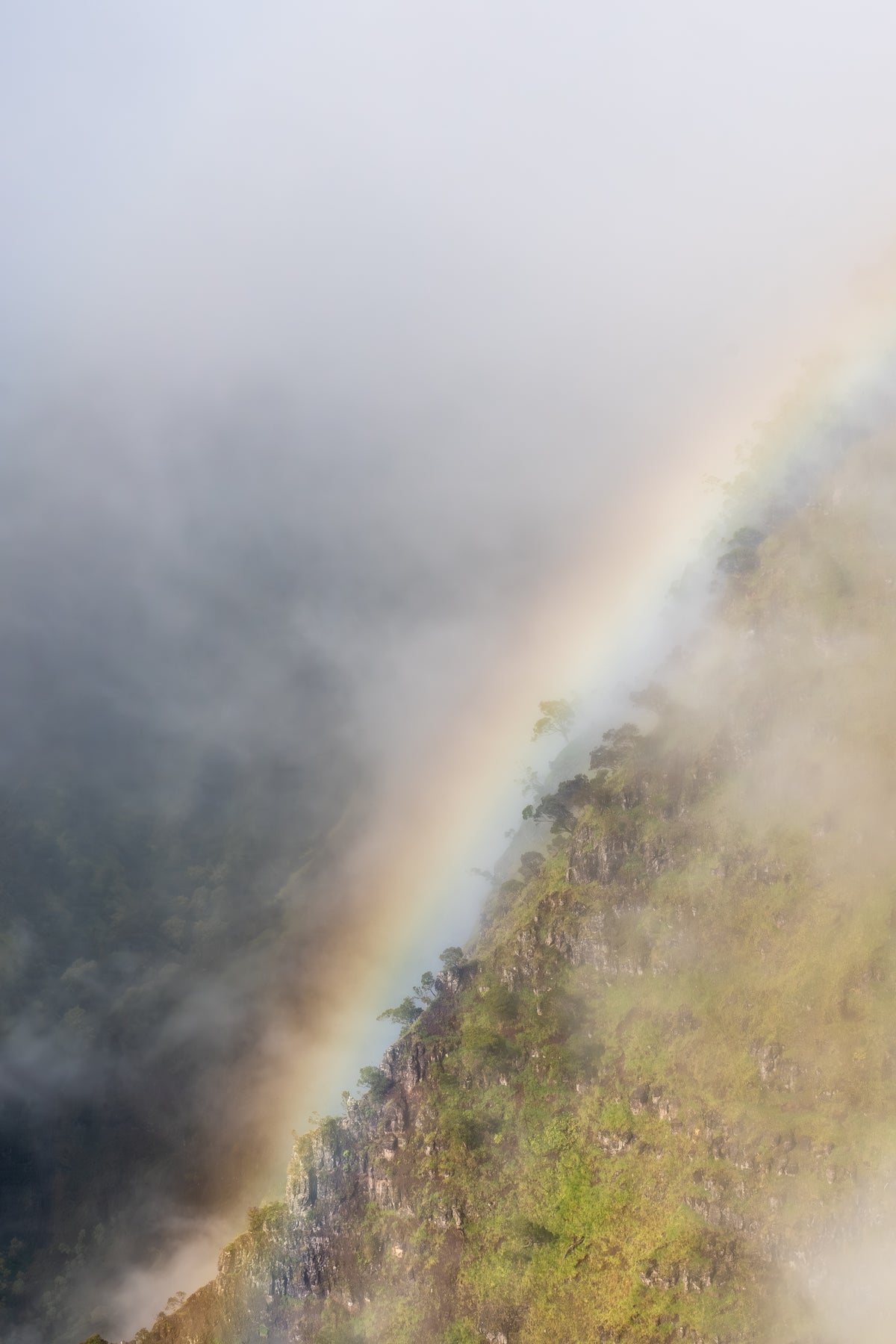 Kaua'i Rainbow